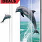 For Samsung Galaxy S9 5D Full Curved Tempered Glass LCD Screen Protector Clear